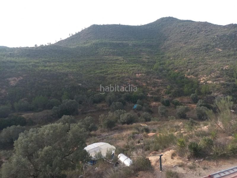 Foto 37c229a5-fd90-4aa5-a040-4481c349ffc7. Finca rústica a Riba-roja d´Ebre