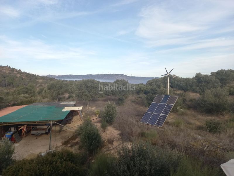 Foto 56a9ed79-82ce-42c9-91bf-896db667d8d3. Finca rústica a Riba-roja d´Ebre