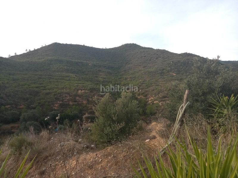 Foto 594d0518-96f4-4c37-843e-231da198fec1. Finca rústica a Riba-roja d´Ebre