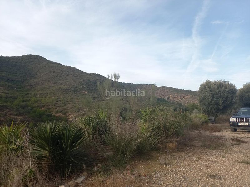 Foto 84637282-3921-4073-998b-4e871e068367. Finca rústica a Riba-roja d´Ebre