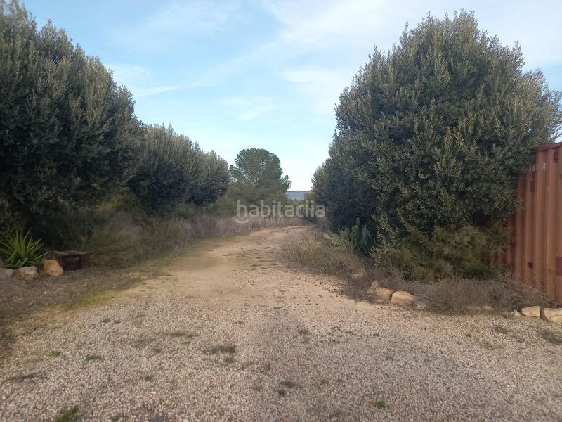 Foto 9a407fb1-8b8b-45c7-9ca0-d244a602dd23. Finca rústica a Riba-roja d´Ebre