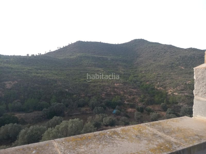 Foto e0fd9b49-7414-4717-9b77-baaa2c7d011e. Finca rústica a Riba-roja d´Ebre