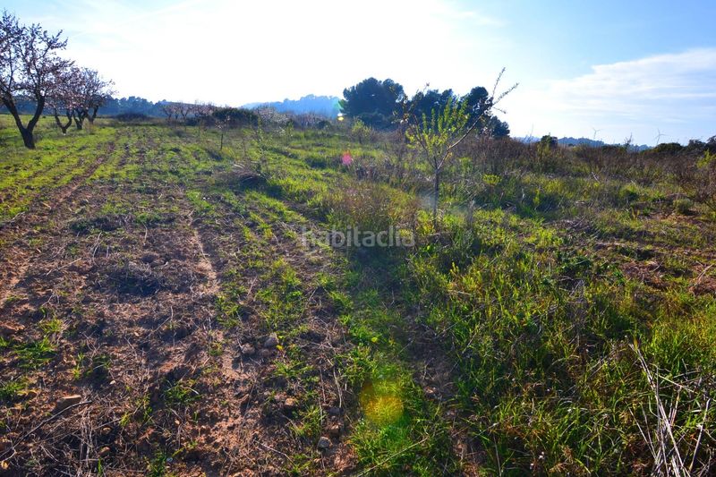 Foto 218f42e3-0fdd-488b-a7a0-d0da253b7611. Finca rústica a Gandesa