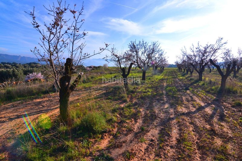 Foto 3ccd93d8-3a73-468e-89fa-022fc99a48de. Finca rústica a Gandesa