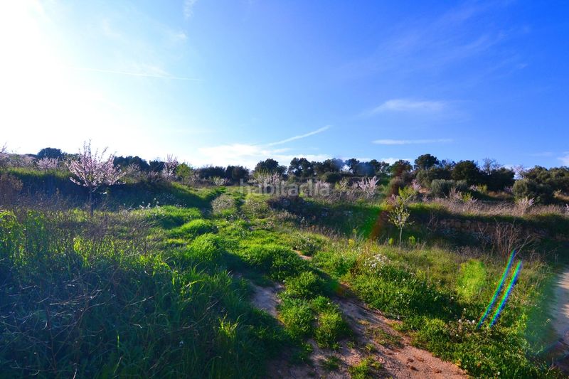 Foto 56f9ccd9-8ef2-44a5-88f0-d93d2c6350ec. Finca rústica a Gandesa