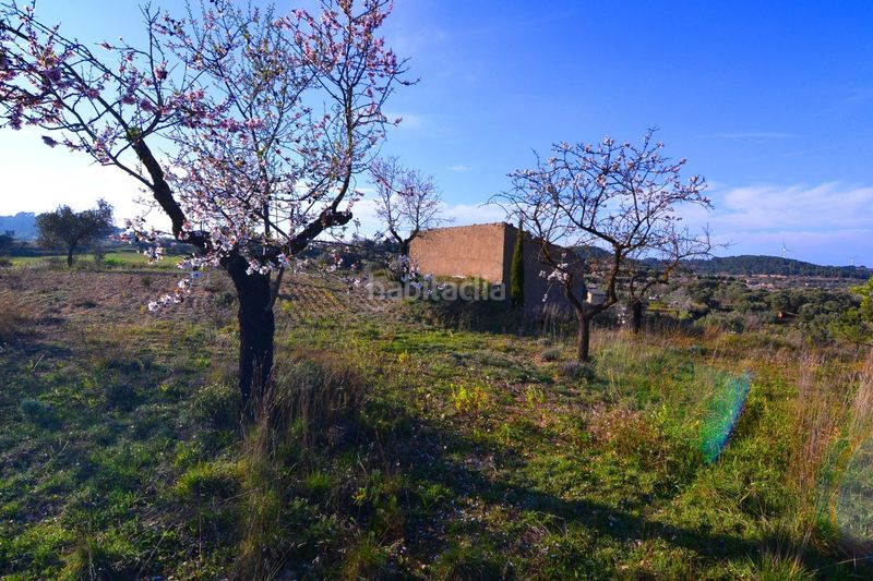 Foto 57149479-9a14-4e41-ad58-a8229cced833. Finca rústica a Gandesa