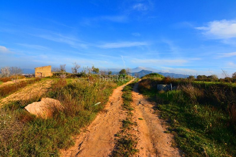 Foto 5a304b8d-5908-4b81-88fb-d4762540b55d. Finca rústica a Gandesa