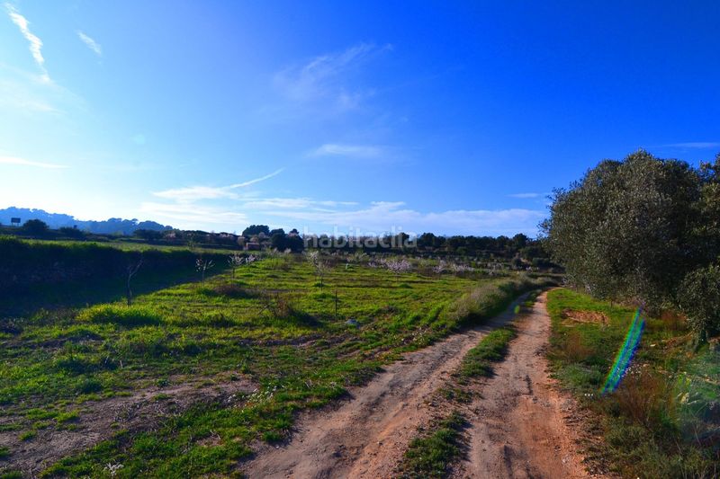 Foto 84ac5805-1455-4fa4-83b0-77d22fbe3e55. Finca rústica a Gandesa