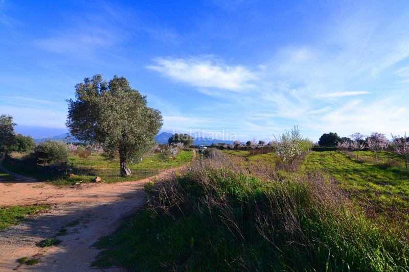 Foto a82e70c9-6cca-43a2-a7b7-88c5ac171774. Finca rústica a Gandesa
