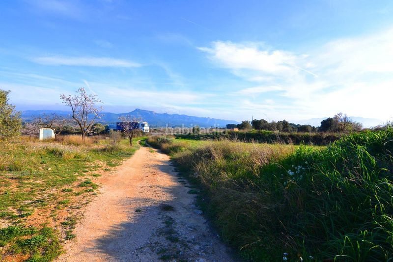 Foto b436f7b0-82ca-4483-86a8-920657e1327c. Finca rústica a Gandesa