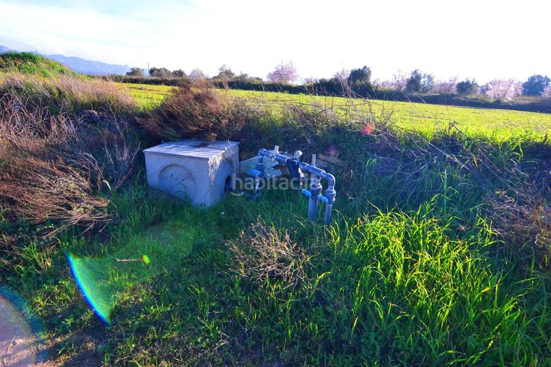 Foto bfb71056-9d87-44d5-b2d1-359298971a6d. Finca rústica a Gandesa