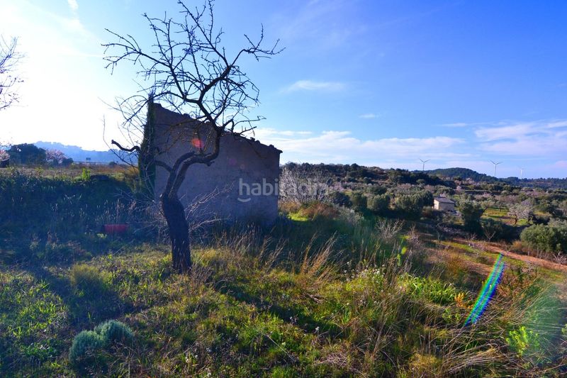 Foto d4199bec-e13d-4216-9288-6be693bfd784. Finca rústica a Gandesa
