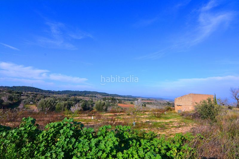 Foto da139aee-653f-4609-acf5-26c2331b0e1e. Finca rústica a Gandesa