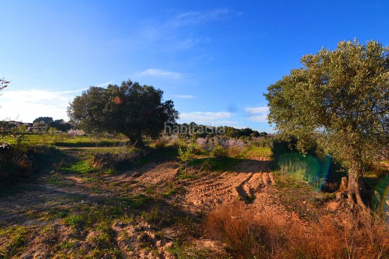 Foto dc38a7f1-1395-40eb-9d9b-940de6a18add. Finca rústica a Gandesa