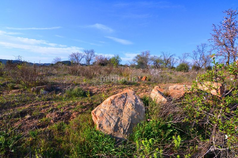 Foto e0f949dc-8e44-4a7f-98e8-9e711d802ad4. Finca rústica a Gandesa