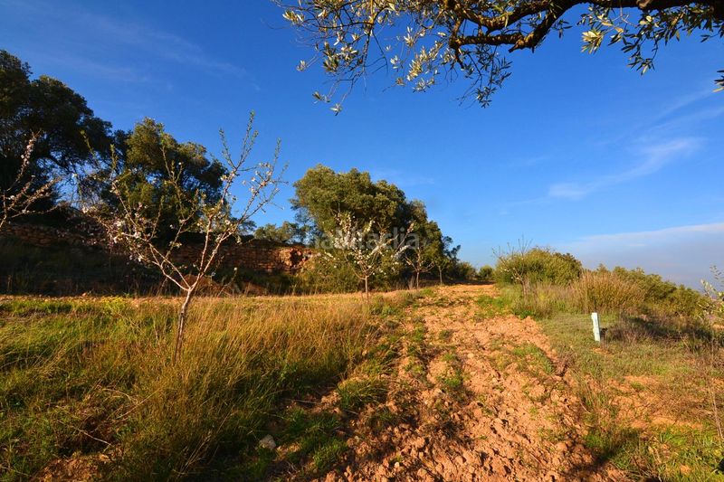 Foto ee127286-c9a9-4ad2-b349-e11cb5fb20f9. Finca rústica a Gandesa
