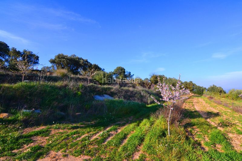 Foto f54e6a48-7f03-4cec-8ee3-e6d60bd705cb. Finca rústica a Gandesa