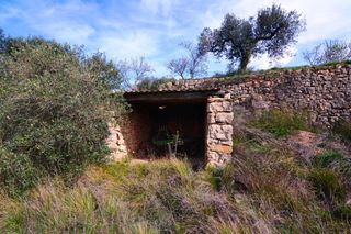 Rural plot in Fatarella (La). Oportunidad finca de riego con pequeña construccion en  la fatar