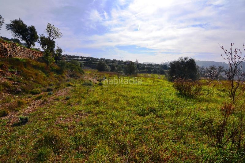 Foto 71e7756f-5fa3-4785-898d-35fc989135d5. Finca rústica a Fatarella (La)
