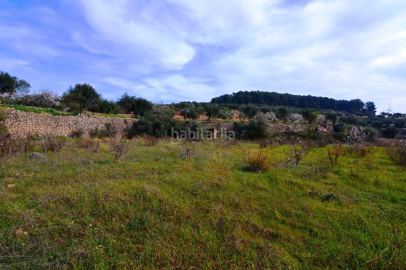 Foto b2bb8018-8083-4411-8d0b-e1185fbac96a. Finca rústica a Fatarella (La)