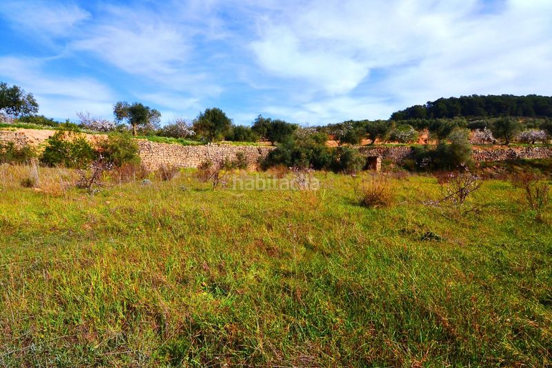 Foto b951c319-9ded-4498-a664-b1c07215ffb1. Finca rústica a Fatarella (La)