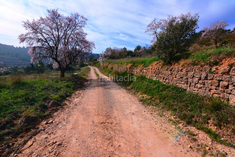 Foto dc4d0ef4-a754-4187-8564-7825d7d7be9d. Finca rústica a Fatarella (La)
