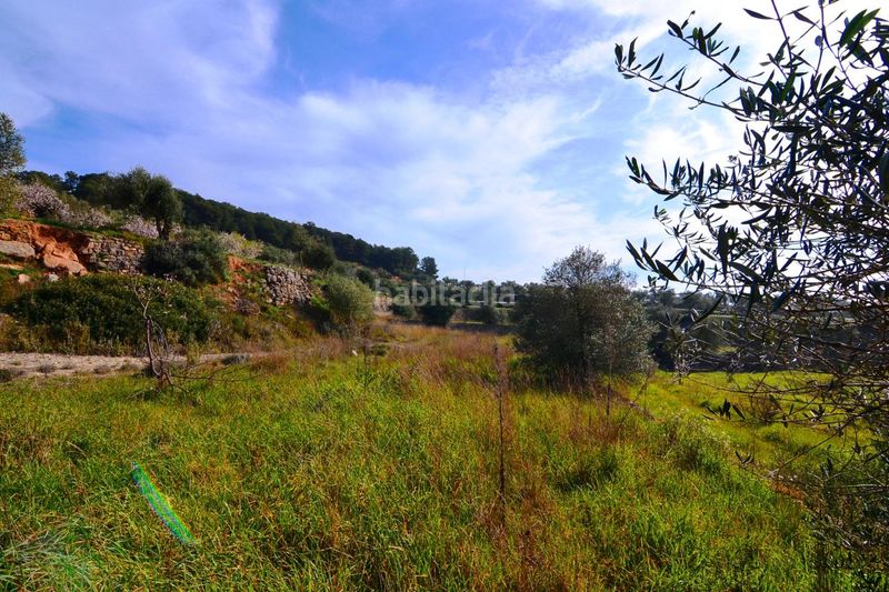 Foto fa158d47-39f4-46b7-981b-c9c3985a549b. Finca rústica a Fatarella (La)