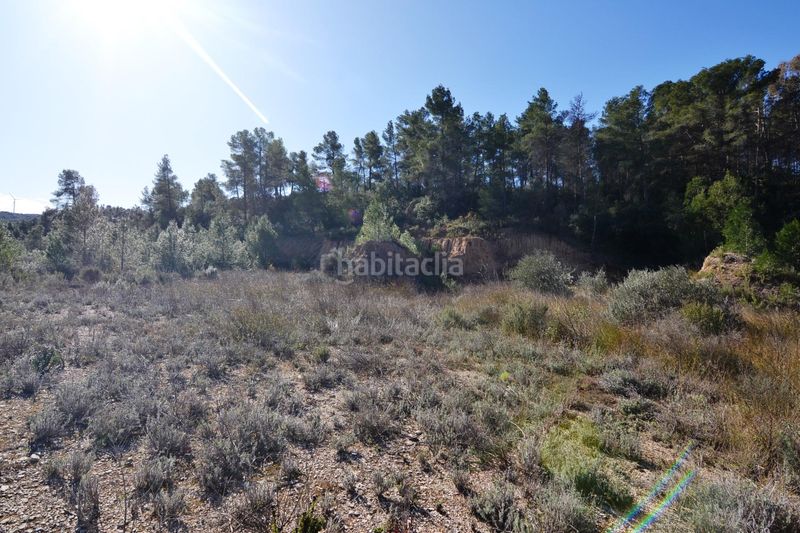Foto 59c6c568-c2e8-4dcb-a398-8c68e1292f37. Finca rústica a Ascó