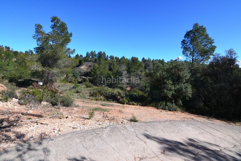 Foto 5d0c105a-8734-46b9-8135-2c9c7b958011. Finca rústica a Ascó