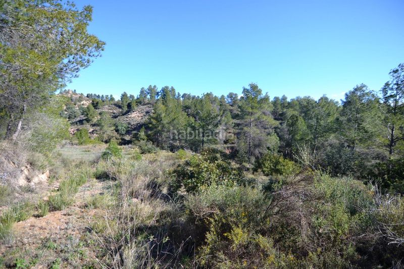 Foto 67e04e8d-ccac-40f8-928b-a504e8359837. Finca rústica a Ascó