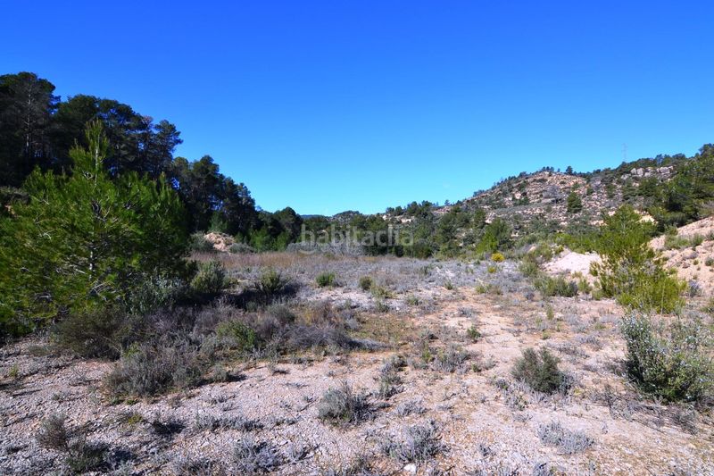 Foto 7b36ec64-d25a-4616-9291-43f058082508. Finca rústica a Ascó