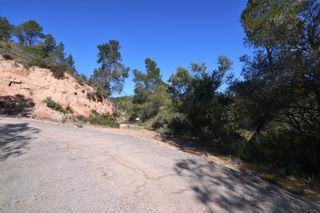 Finca rústica a Ascó