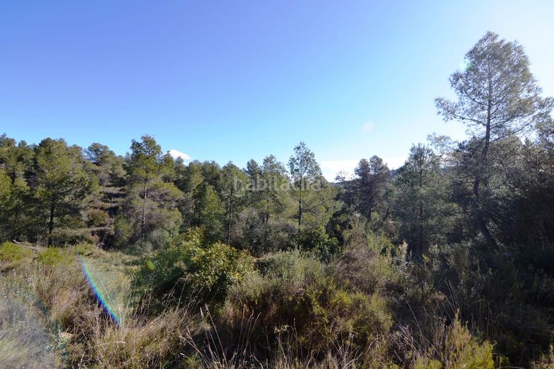 Foto 8ef3d3c0-2ce1-4799-bbc9-e7ad388221e3. Finca rústica a Ascó