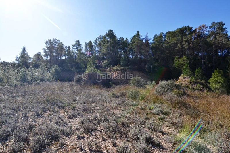 Foto 96379819-89c7-4059-a0b4-d8766a489493. Finca rústica a Ascó