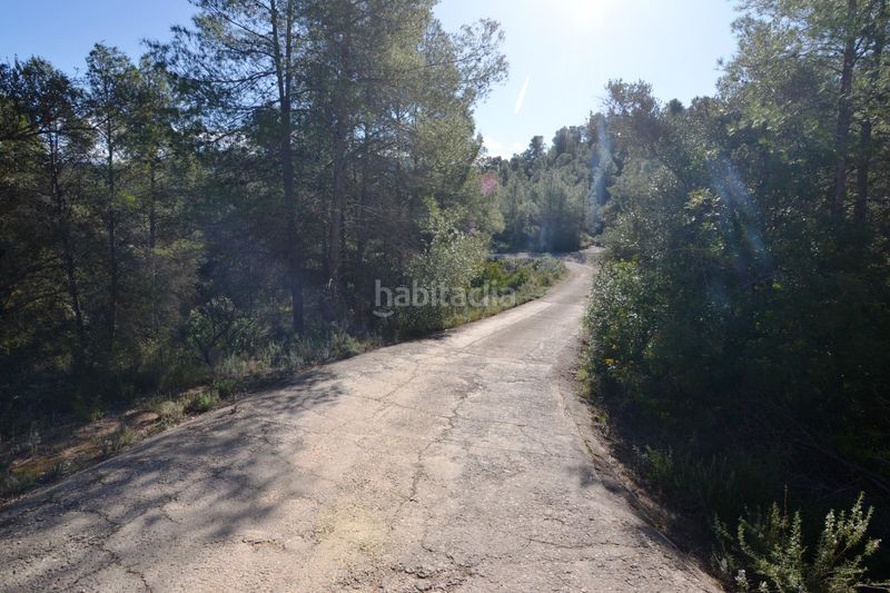 Foto 9641a747-8c36-4307-ad09-60f07a244405. Finca rústica a Ascó