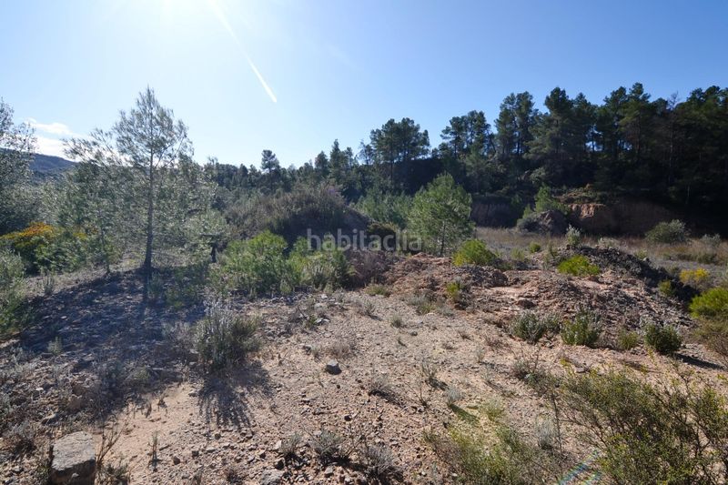 Foto b674d3a3-abef-4af4-9f9d-efdf9bcc9530. Finca rústica a Ascó