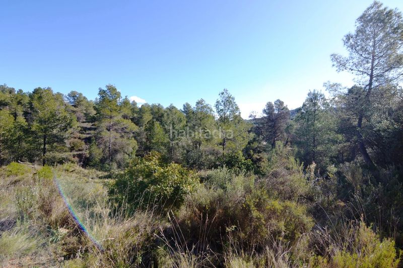 Foto b8abd8ba-b042-402c-987c-7b356e23afbc. Finca rústica a Ascó