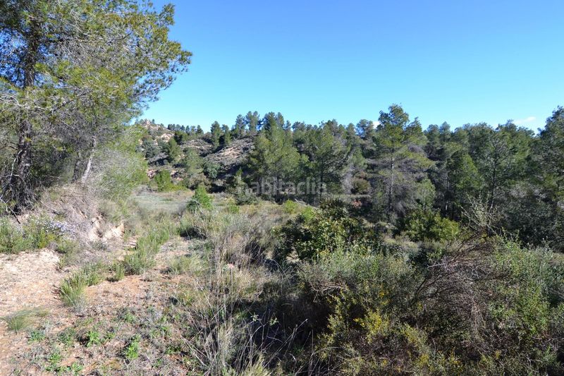 Foto fa4410d9-a98b-4f79-aeff-c409a4883d77. Finca rústica a Ascó
