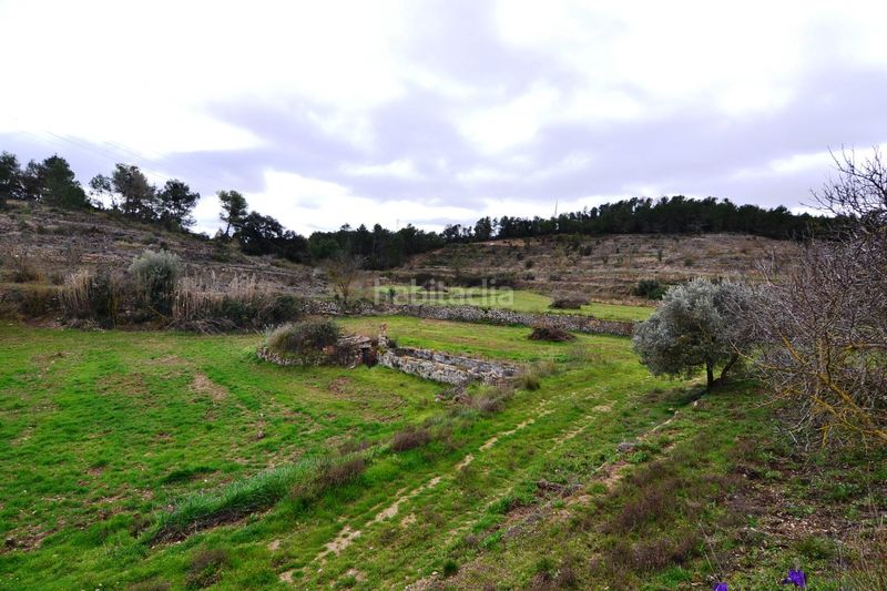 Foto 1221b4d1-59da-4107-a361-6c13ec5d28d1. Finca rústica a Vilalba dels Arcs