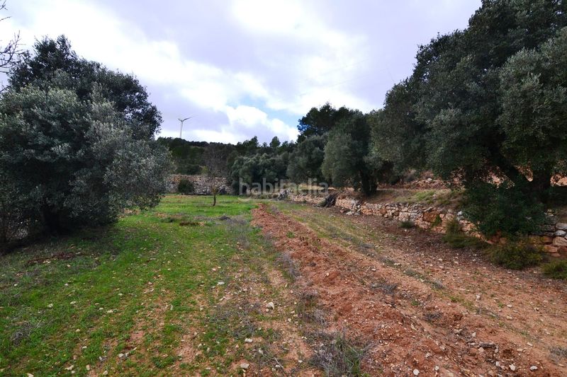 Foto 16f854c3-03b6-45fb-9b0f-7d77da04ad00. Finca rústica a Vilalba dels Arcs