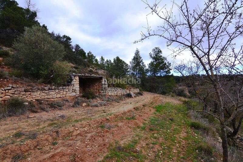 Foto 194d6295-4078-4129-99f4-65d3ba997983. Finca rústica a Vilalba dels Arcs