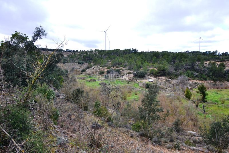 Foto 20ac63a2-c49e-482e-8039-34d22a759e4a. Finca rústica a Vilalba dels Arcs