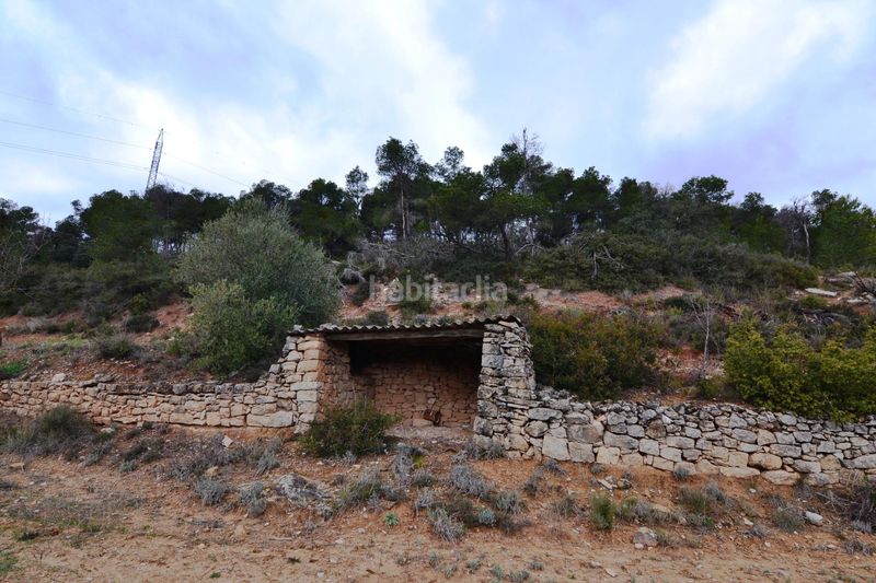 Foto 2b29d2d0-5b49-4b5d-8db9-0fbcc63605ab. Finca rústica a Vilalba dels Arcs