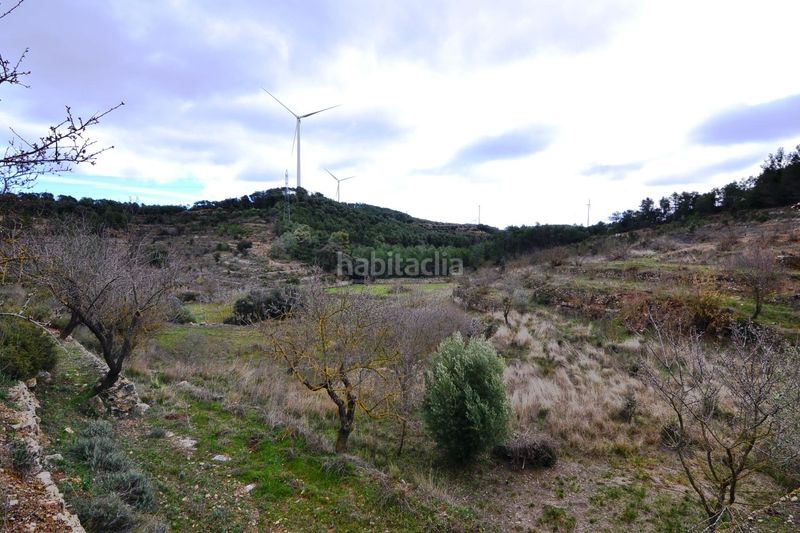 Foto 39587e9e-731d-49a1-a558-8c20a1420125. Finca rústica a Vilalba dels Arcs
