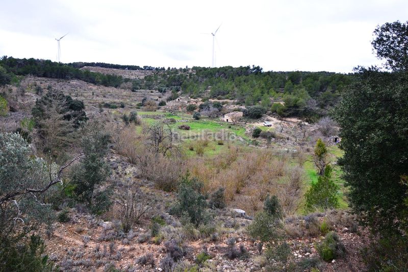 Foto 3cecdf06-5def-448d-b98b-a6b5bcc1cfc3. Finca rústica a Vilalba dels Arcs