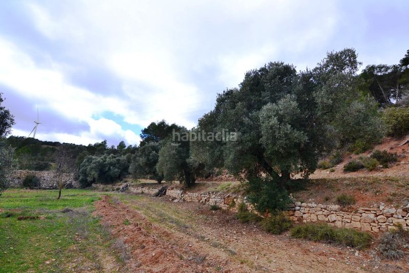 Foto 49c20aac-cacc-47ef-8492-777f9e02c8e6. Finca rústica a Vilalba dels Arcs