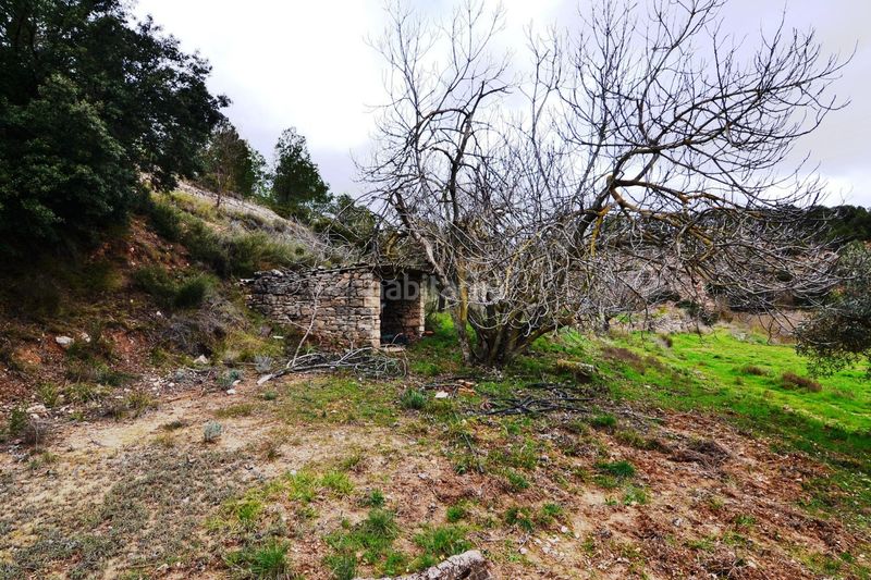 Foto 5441621b-9c71-4f02-a2ca-476cb42b0c85. Finca rústica a Vilalba dels Arcs