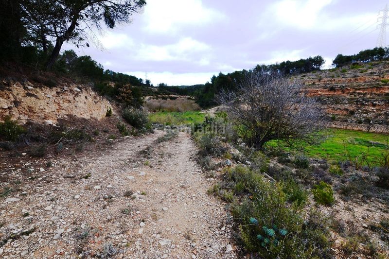 Foto 5acfe39d-3e22-4d0c-894b-2a48e5dd54fc. Finca rústica a Vilalba dels Arcs