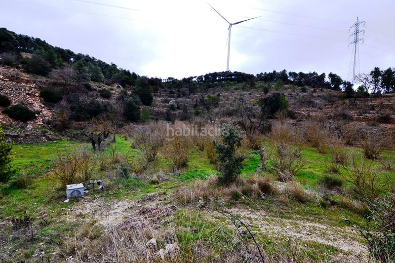 Foto bbb83a1b-976b-4a46-b1be-af4ef8e5b9c0. Finca rústica a Vilalba dels Arcs