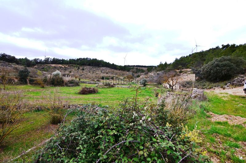 Foto bd6501b9-bc63-438d-9be0-83393ce5da45. Finca rústica a Vilalba dels Arcs